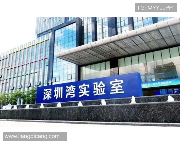 深圳篮球队运营创新探索:重塑球队发展新模式与市场影响力 深圳篮球队运营创新探索:重塑球队发展新模式与市场影响力